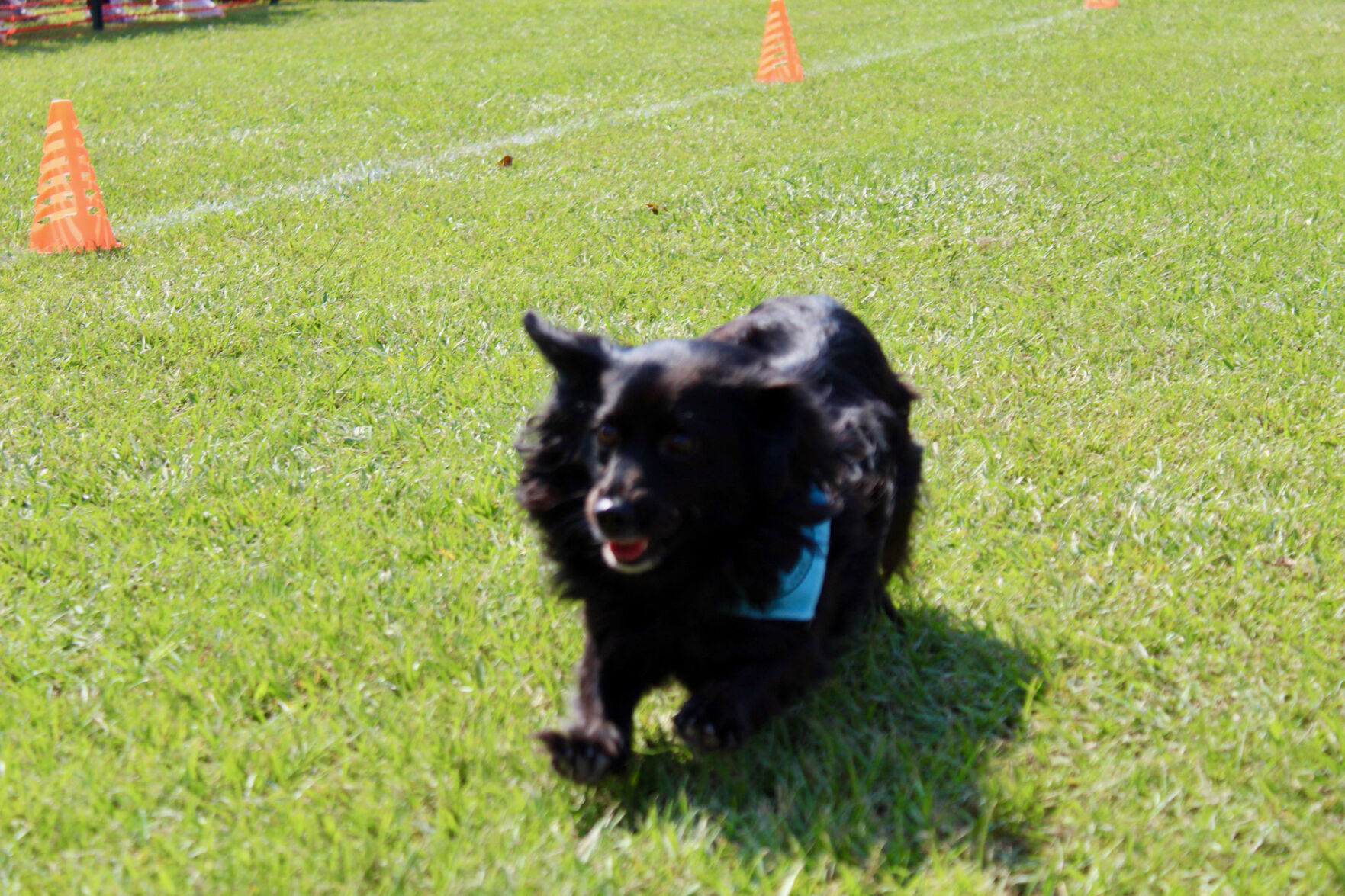 IMG_8401.jpeg